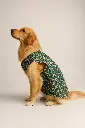 Green Sherwani (Side 2).webp