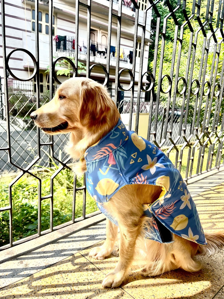 AW25 CHEEKu Blue Printed Jacket (Yellow Reversible)