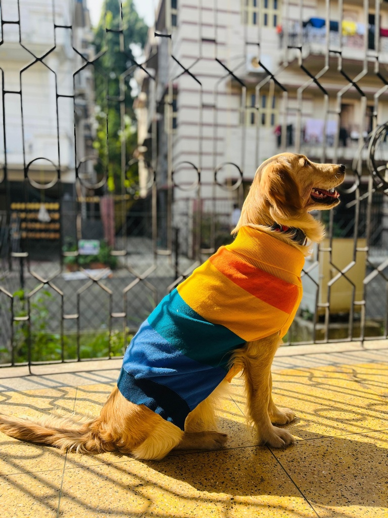 AW25 CHEEKu Rainbow Sweater