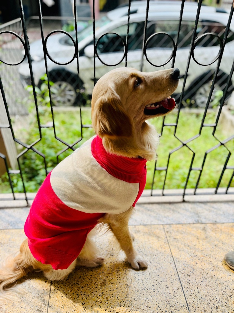 AW25 CHEEKu Red-White Sweater
