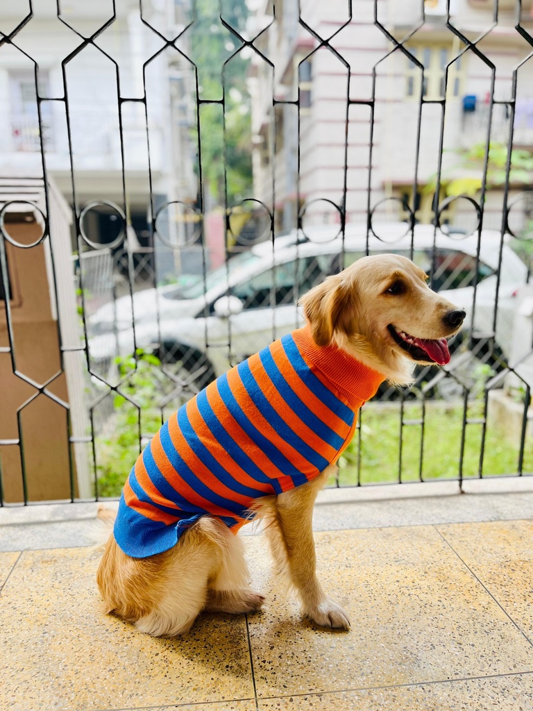 AW25 CHEEKu Thin Orange-Blue Sweater