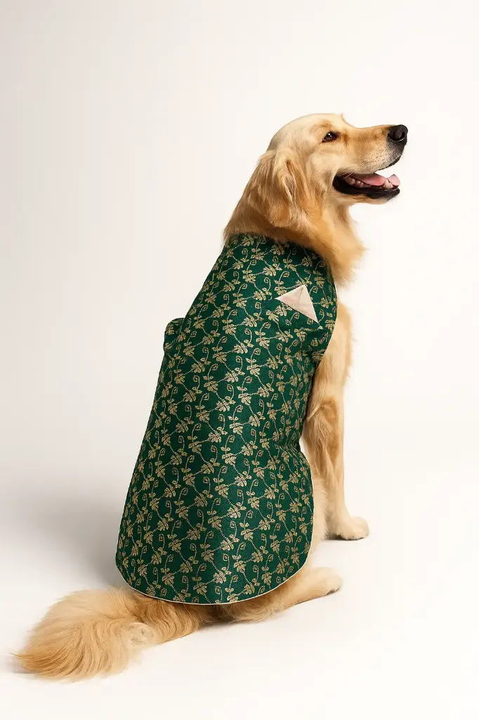 SS25 CHEEKu Green Sherwani