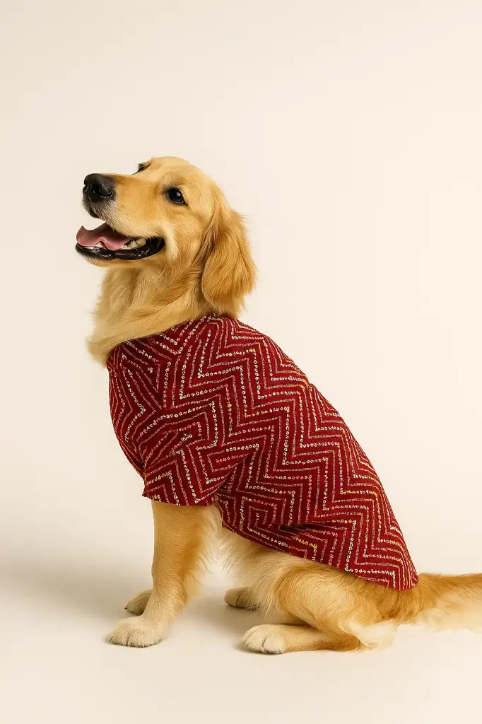 SS25 CHEEKu Maroon Ethnic Kurta