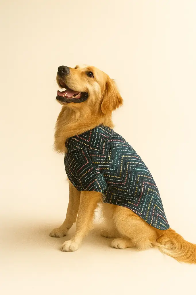 SS25 CHEEKu Midnight Ethnic Kurta