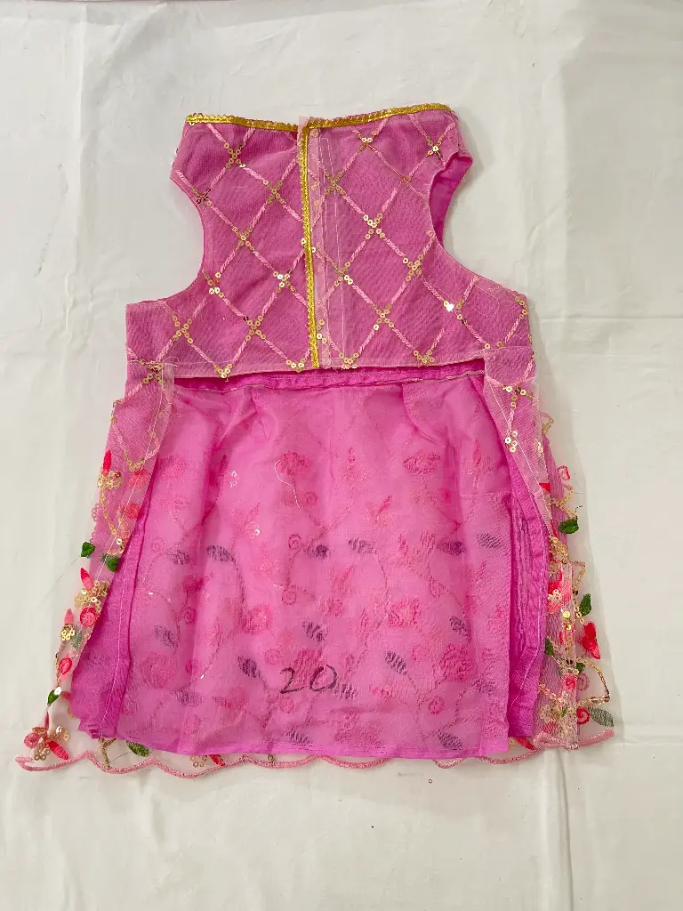 SS25 CHEEKu Pink Lehenga
