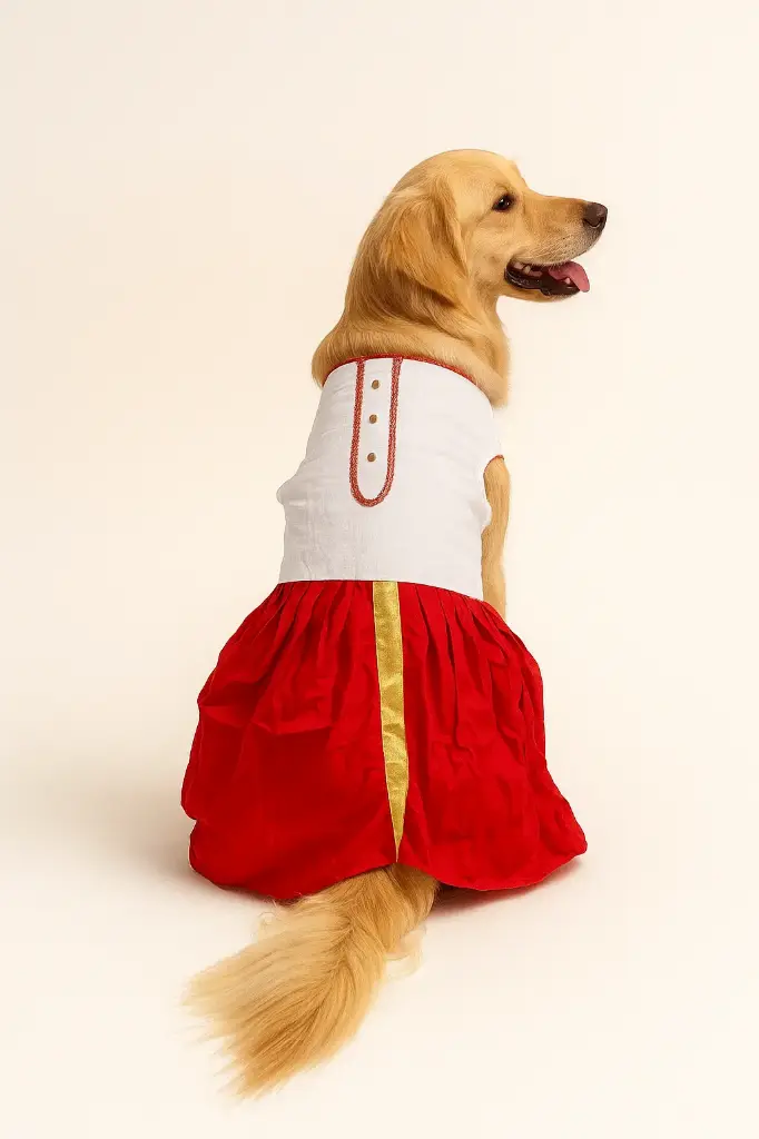 SS25 CHEEKu Dhoti Kurta