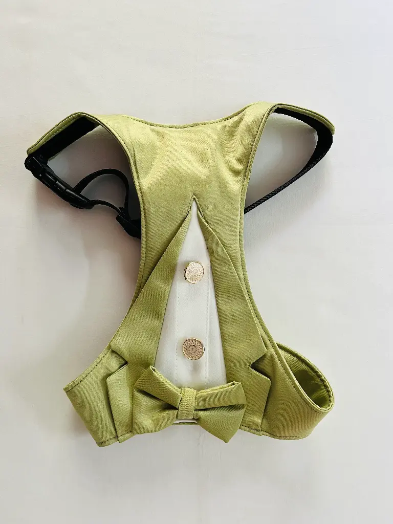 SS25 CHEEKu Green Tuxedo Dog Harness 