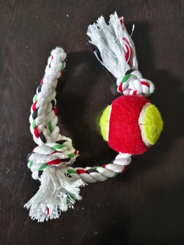 SS25 CHEEKu COTTON THROW & PULL BALL 