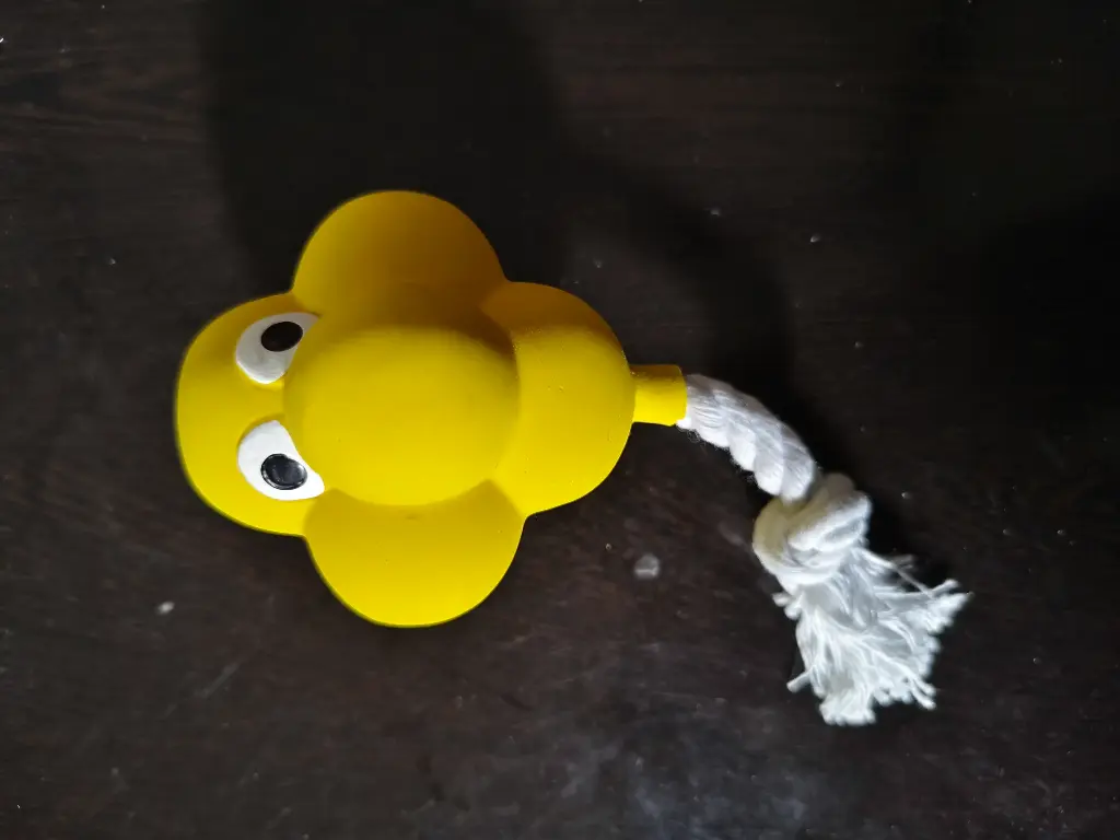 SS25 CHEEKu ROPE LATEX SQUEAKY 