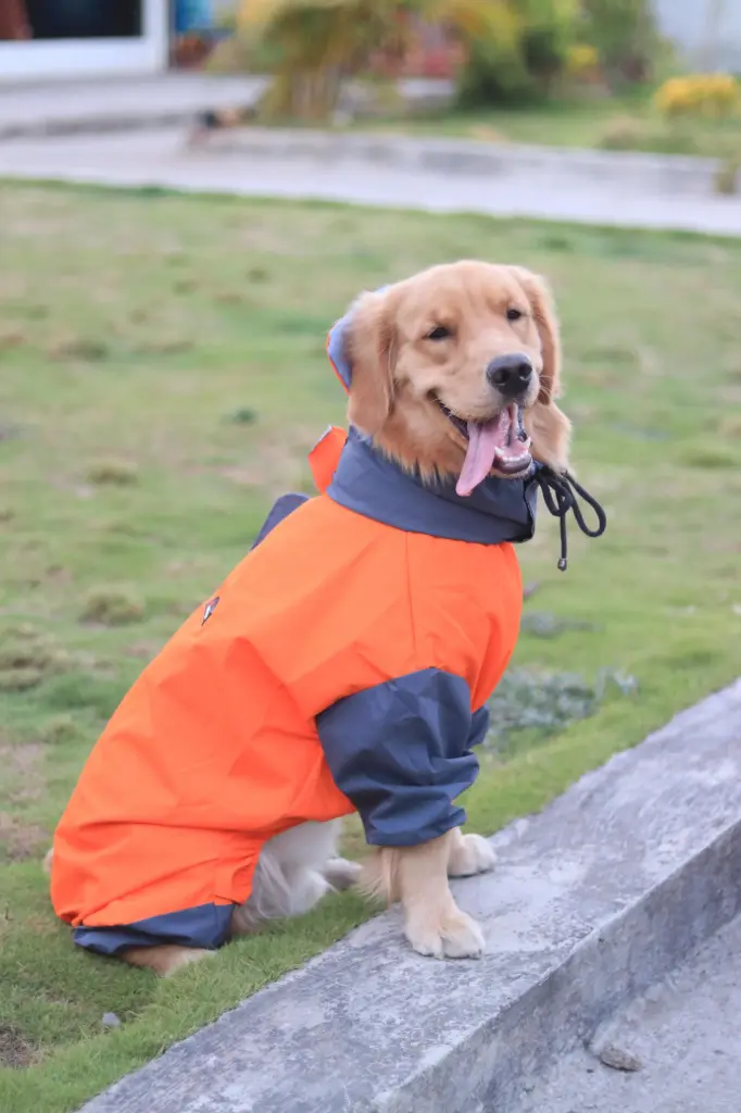 AW25 CHEEKu Fully Covered Orange Raincoat