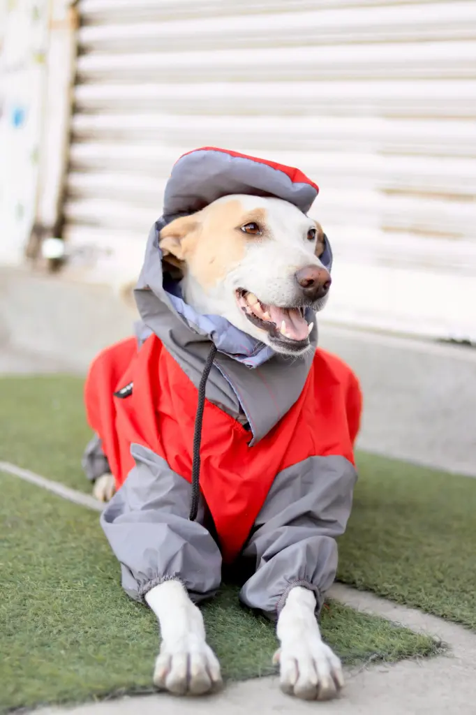 AW25 CHEEKu Fully Covered Red Raincoat