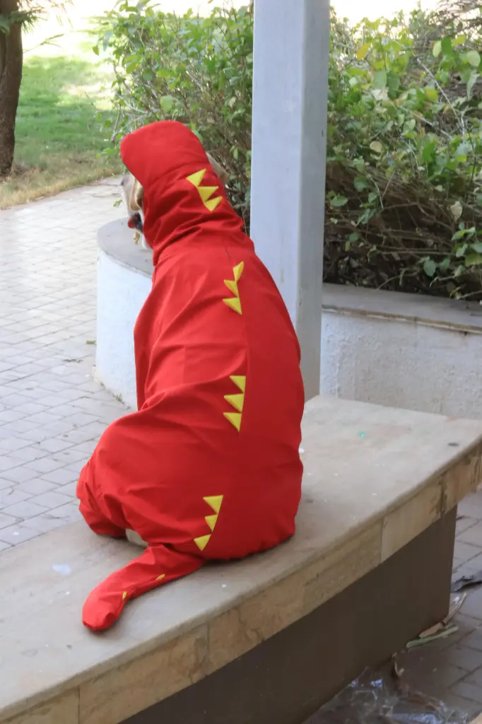 AW25 CHEEKu Dinasour Red Raincoat