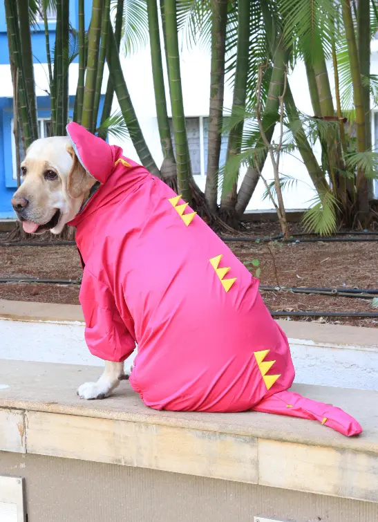 AW25 CHEEKu Dinasour Pink Raincoat