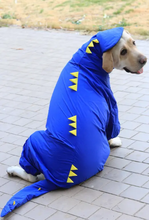 AW25 CHEEKu Dinasour Blue Raincoat