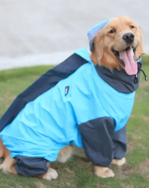 AW25 CHEEKu Fully Covered Sky Blue Raincoat