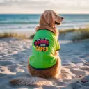 AW24 SUPERHERO Dog Tshirt