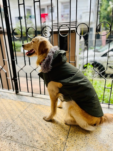 AW25 CHEEKu Olive Fur Hooded Jacket