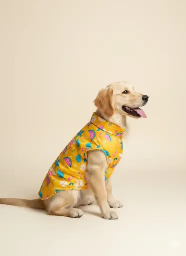 AW25 CHEEKu Yellow Printed Jacket (Blue Reversible)