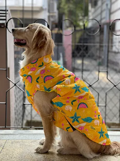 AW25 CHEEKu Yellow Printed Jacket (Blue Reversible)