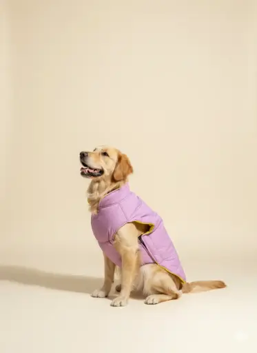 AW25 CHEEKu Reversible Jacket (Mauve | Yellow)