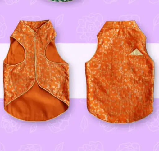 SS25 CHEEKu Orange Sherwani 