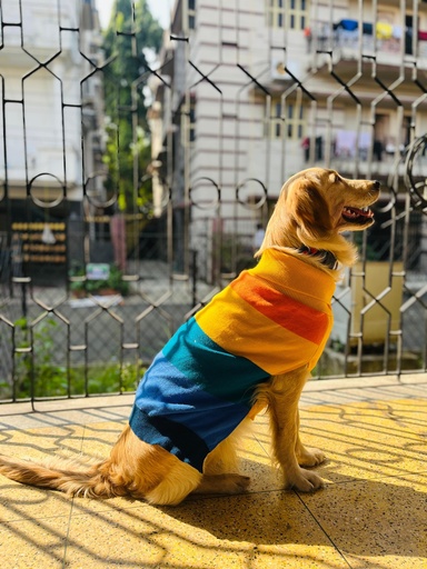 AW25 CHEEKu Rainbow Sweater