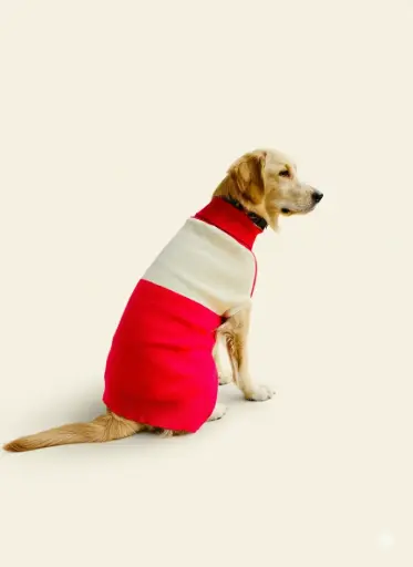 AW25 CHEEKu Red-White Sweater