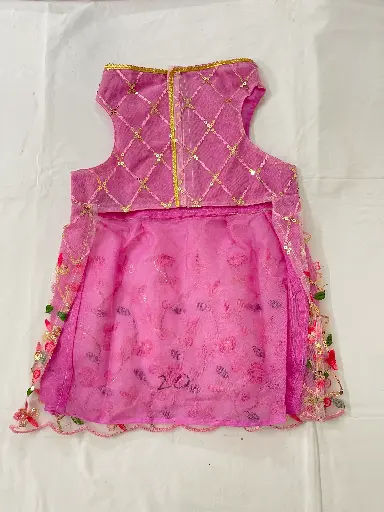 SS25 CHEEKu Pink Lehenga