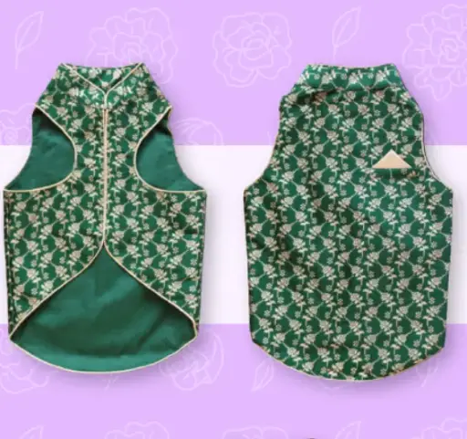 SS25 CHEEKu Green Sherwani