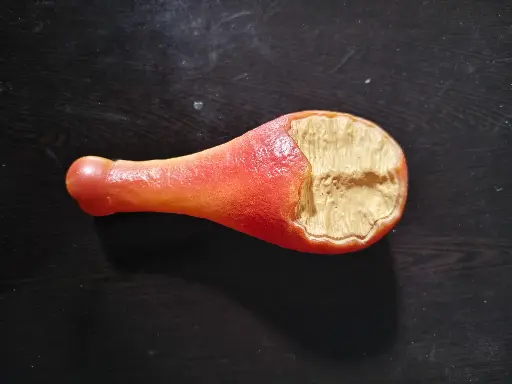 [SS25SLT020000] SS25 CHEEKu VINLY CHICKEN LEG