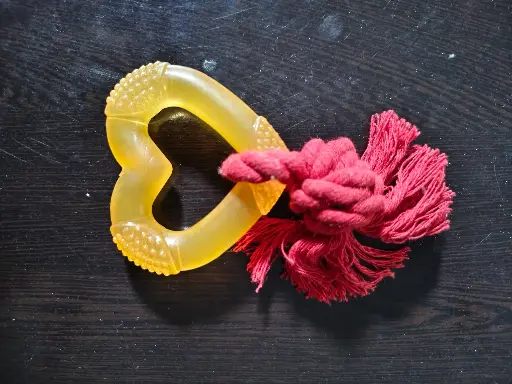 [SS25SLT028000] SS25 CHGEEKu CHEW HEART TEATHER 